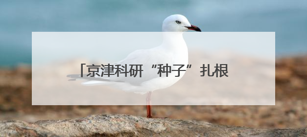 京津科研“种子”扎根河北，产业“土壤”培育创新“参天大树”