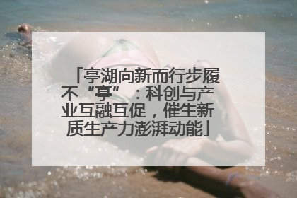 亭湖向新而行步履不“亭”：科创与产业互融互促，催生新质生产力澎湃动能