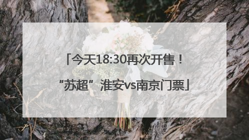 今天18:30再次开售！“苏超”淮安vs南京门票