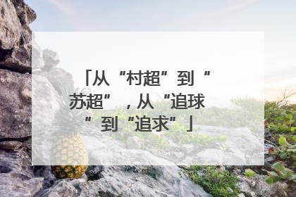 从“村超”到“苏超”，从“追球”到“追求”