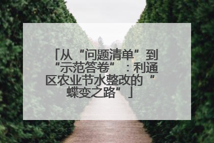 从“问题清单”到“示范答卷”：利通区农业节水整改的“蝶变之路”