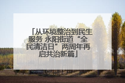 从环境整治到民生服务 永阳街道“全民清洁日”两周年再启共治新篇