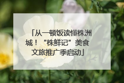 从一顿饭读懂株洲城！“株鲜记”美食文旅推广季启动