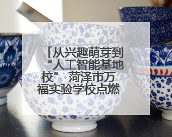 从兴趣萌芽到“人工智能基地校” 菏泽市万福实验学校点燃科技火种，赋能未来人才