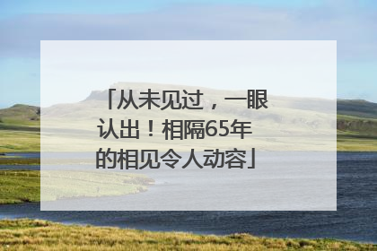 从未见过，一眼认出！相隔65年的相见令人动容