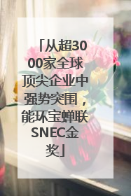 从超3000家全球顶尖企业中强势突围，能环宝蝉联SNEC金奖
