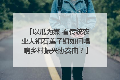 以瓜为媒 看传统农业大镇石莲子镇如何唱响乡村振兴协奏曲？