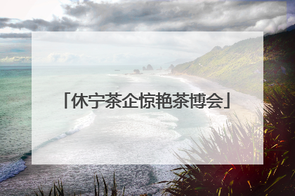 休宁茶企惊艳茶博会