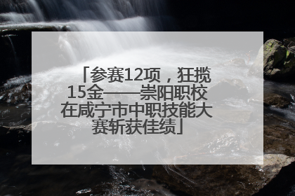 参赛12项，狂揽15金——崇阳职校在咸宁市中职技能大赛斩获佳绩