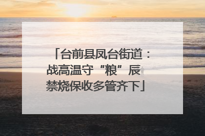 台前县凤台街道：战高温守“粮”辰 禁烧保收多管齐下