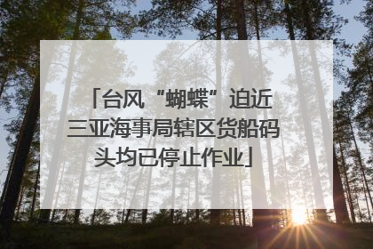 台风“蝴蝶”迫近 三亚海事局辖区货船码头均已停止作业