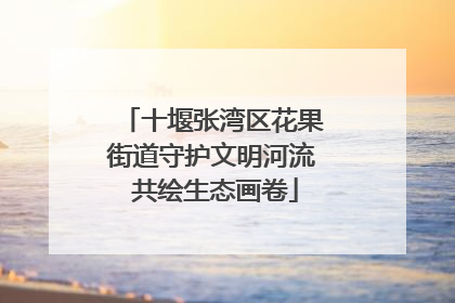 十堰张湾区花果街道守护文明河流 共绘生态画卷