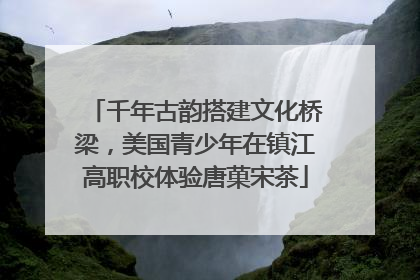 千年古韵搭建文化桥梁，美国青少年在镇江高职校体验唐菓宋茶