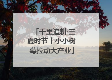 千里追耕·三夏时节丨小小树莓拉动大产业