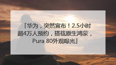 华为，突然宣布！2.5小时超4万人预约，搭载原生鸿蒙，Pura 80外观曝光