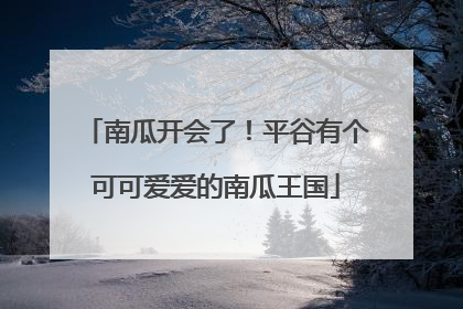 南瓜开会了！平谷有个可可爱爱的南瓜王国