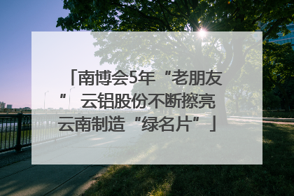 南博会5年“老朋友” 云铝股份不断擦亮云南制造“绿名片”