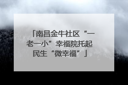 南昌金牛社区“一老一小”幸福院托起民生“微幸福”