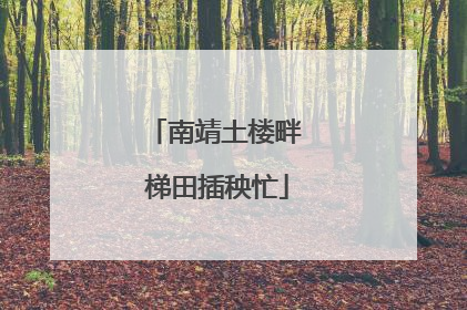 南靖土楼畔 梯田插秧忙