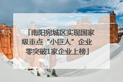 南阳宛城区实现国家级重点“小巨人”企业零突破1家企业上榜
