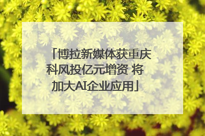 博拉新媒体获重庆科风投亿元增资 将加大AI企业应用