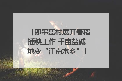 即墨蓝村展开春稻插秧工作 千亩盐碱地变“江南水乡”