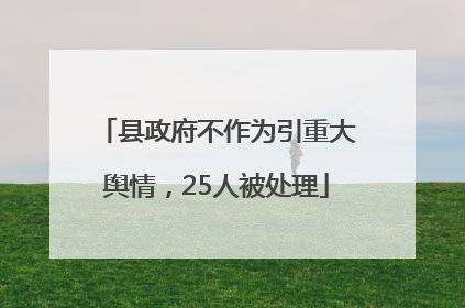 县政府不作为引重大舆情，25人被处理