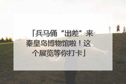 兵马俑“出差”来秦皇岛博物馆啦！这个展览等你打卡