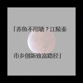 养鱼不用塘？江陵秦市乡创新致富路径