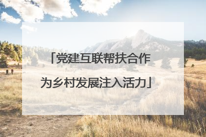 党建互联帮扶合作 为乡村发展注入活力