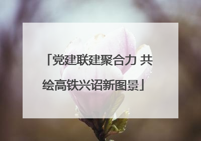 党建联建聚合力 共绘高铁兴诏新图景
