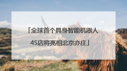 全球首个具身智能机器人4S店将亮相北京亦庄