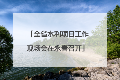 全省水利项目工作现场会在永春召开