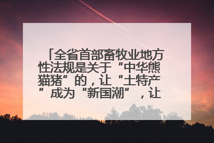 全省首部畜牧业地方性法规是关于“中华熊猫猪”的，让“土特产”成为“新国潮”，让“农产品”升格为“城市IP”