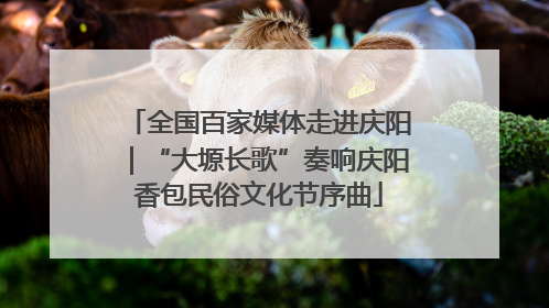 全国百家媒体走进庆阳｜“大塬长歌”奏响庆阳香包民俗文化节序曲