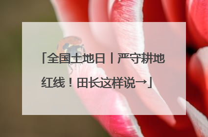 全国土地日丨严守耕地红线！田长这样说→