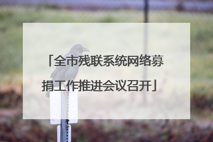 全市残联系统网络募捐工作推进会议召开