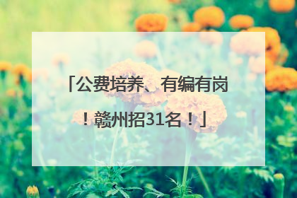 公费培养、有编有岗！赣州招31名！