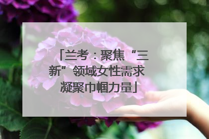 兰考：聚焦“三新”领域女性需求 凝聚巾帼力量