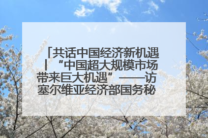 共话中国经济新机遇丨“中国超大规模市场带来巨大机遇”——访塞尔维亚经济部国务秘书尼科利奇