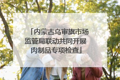 内蒙古乌审旗市场监管局联动共同开展肉制品专项检查