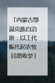 内蒙古鄂温克族自治旗：以工代赈托起农牧民增收梦