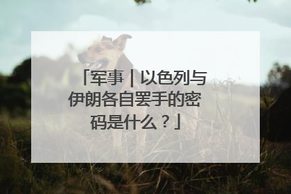 军事｜以色列与伊朗各自罢手的密码是什么？