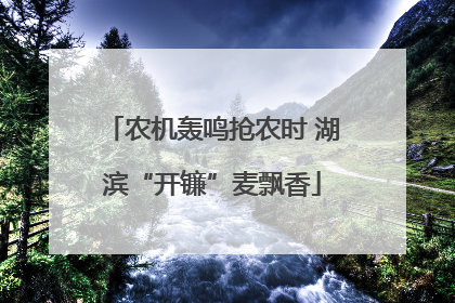 农机轰鸣抢农时 湖滨“开镰”麦飘香