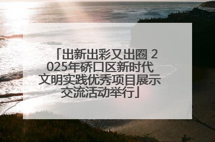 出新出彩又出圈 2025年硚口区新时代文明实践优秀项目展示交流活动举行