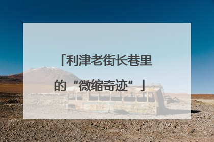 利津老街长巷里的“微缩奇迹”
