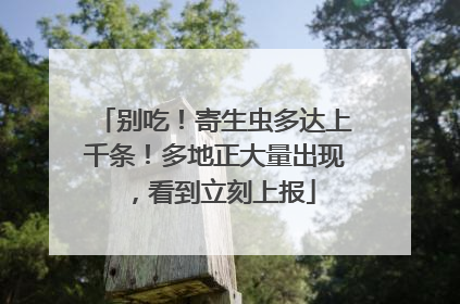 别吃！寄生虫多达上千条！多地正大量出现，看到立刻上报