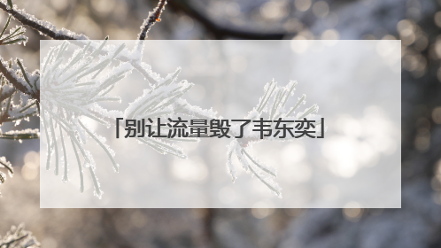 别让流量毁了韦东奕