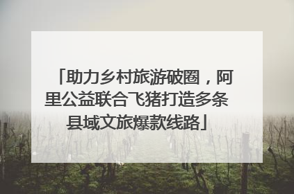 助力乡村旅游破圈，阿里公益联合飞猪打造多条县域文旅爆款线路