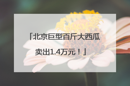 北京巨型百斤大西瓜卖出1.4万元！